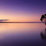 I migliori 8 siti per scaricare immagini gratis royalty free